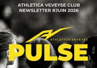 NEWSLETTER #11